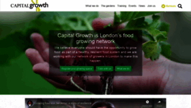 What Capitalgrowth.org website looked like in 2021 (2 years ago)