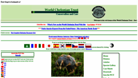 What Chelonia.org website looked like in 2021 (2 years ago)