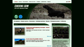 What Cherni-lom.com website looked like in 2021 (2 years ago)