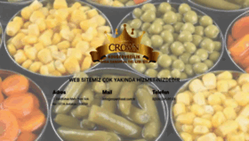 What Crownfood.com.tr website looked like in 2021 (2 years ago)