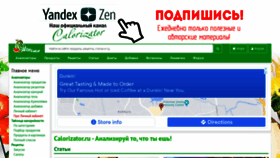What Calorizator.ru website looked like in 2021 (2 years ago)