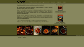 What Ciya.com.tr website looked like in 2021 (4 years ago)