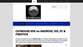 What Catmouseapk.org website looked like in 2021 (2 years ago)