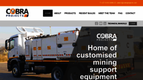 What Cobraprojects.com website looked like in 2021 (3 years ago)