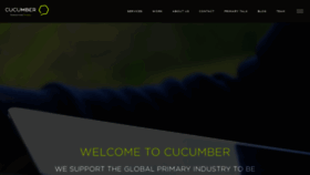 What Cucumber.co.nz website looked like in 2021 (2 years ago)
