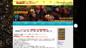 What Caving-jp.com website looked like in 2021 (2 years ago)