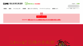 What Camk.jp website looked like in 2021 (2 years ago)