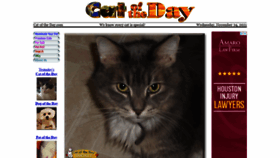 What Catoftheday.com website looked like in 2021 (2 years ago)