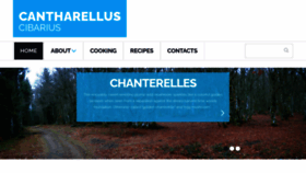 What Chanterelle.net website looked like in 2021 (2 years ago)
