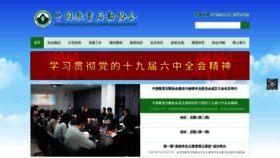 What Chinacacm.org website looked like in 2021 (2 years ago)