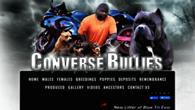 What Conversebullies.com website looked like in 2022 (2 years ago)