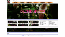What Cyberwildorchid.com website looked like in 2022 (2 years ago)
