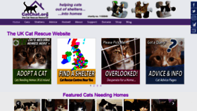 What Catchat.org website looked like in 2022 (3 years ago)