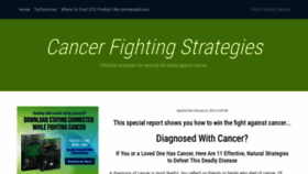 What Cancerfightingstrategies.com website looked like in 2022 (2 years ago)