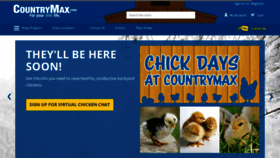 What Countrymax.com website looked like in 2022 (2 years ago)