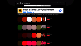 What Colorhunter.com website looked like in 2022 (2 years ago)