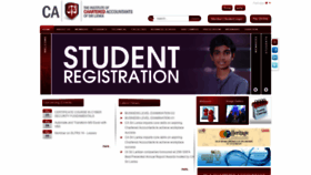 What Casrilanka.com website looked like in 2022 (2 years ago)