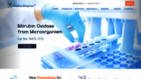 What Creative-enzymes.com website looked like in 2022 (2 years ago)