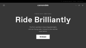 What Cannondale.com website looked like in 2022 (2 years ago)