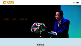 What Cpgroup.cn website looked like in 2022 (2 years ago)