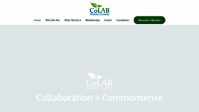 What Colabvc.org website looked like in 2022 (2 years ago)