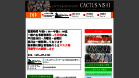 What Cactusnishi.com website looked like in 2022 (2 years ago)