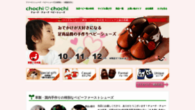 What Chochi-chochi.com website looked like in 2022 (2 years ago)