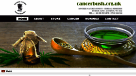 What Cancerbush.org.uk website looked like in 2022 (1 year ago)