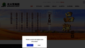 What Chinabdh.com website looked like in 2022 (1 year ago)