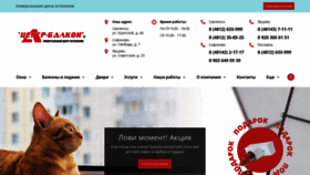 What Centr-balkon.ru website looked like in 2022 (2 years ago)