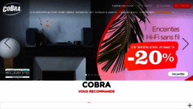 What Cobrason.com website looked like in 2022 (1 year ago)