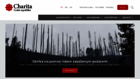 What Caritas.cz website looked like in 2022 (1 year ago)