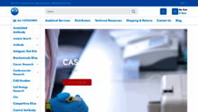 What Caslab.com website looked like in 2022 (1 year ago)