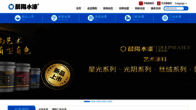 What Chenyang.com website looked like in 2022 (1 year ago)