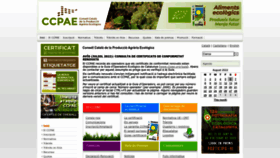 What Ccpae.org website looked like in 2022 (1 year ago)