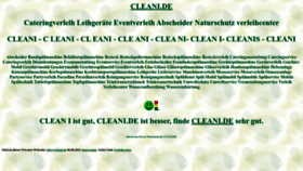 What Cleani.de website looked like in 2022 (1 year ago)