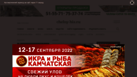 What Chelny-biz.ru website looked like in 2022 (1 year ago)