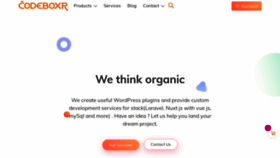 What Codeboxr.com website looked like in 2022 (1 year ago)