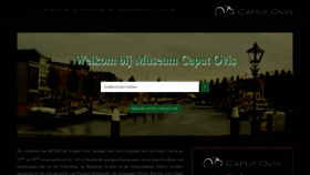 What Caputovis.nl website looked like in 2022 (1 year ago)