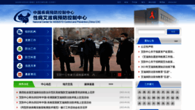 What Chinaaids.cn website looked like in 2022 (1 year ago)