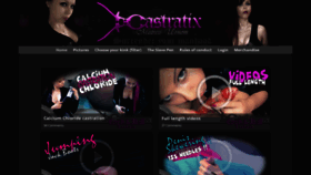 What Castratix.nl website looked like in 2022 (2 years ago)
