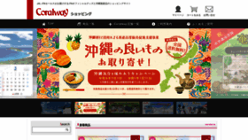 What Coralway.jp website looked like in 2022 (1 year ago)