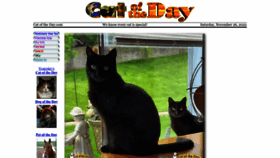 What Catoftheday.com website looked like in 2022 (1 year ago)