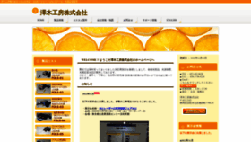 What Ccsawaki.com website looked like in 2022 (1 year ago)