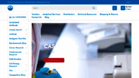 What Caslab.com website looked like in 2023 (1 year ago)
