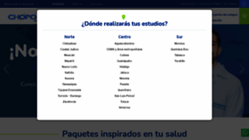 What Chopo.com.mx website looked like in 2023 (1 year ago)