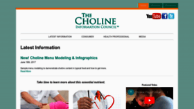 What Cholinecouncil.com website looked like in 2023 (1 year ago)