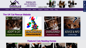 What Catchat.org website looked like in 2023 (2 years ago)
