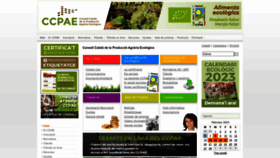 What Ccpae.org website looked like in 2023 (1 year ago)