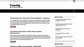 What Cosolig.org website looked like in 2023 (1 year ago)